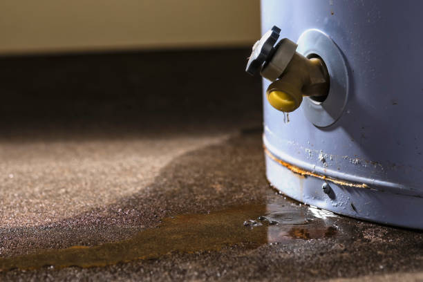 Best Mold removal after water damage  in Wyldwood, TX