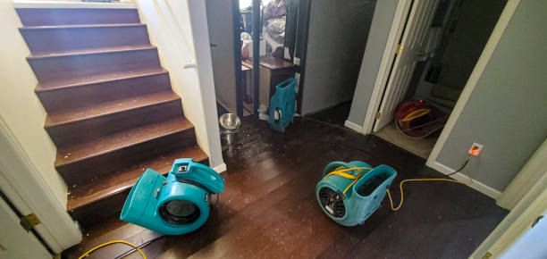 Best Water damage cleanup near me  in Wyldwood, TX