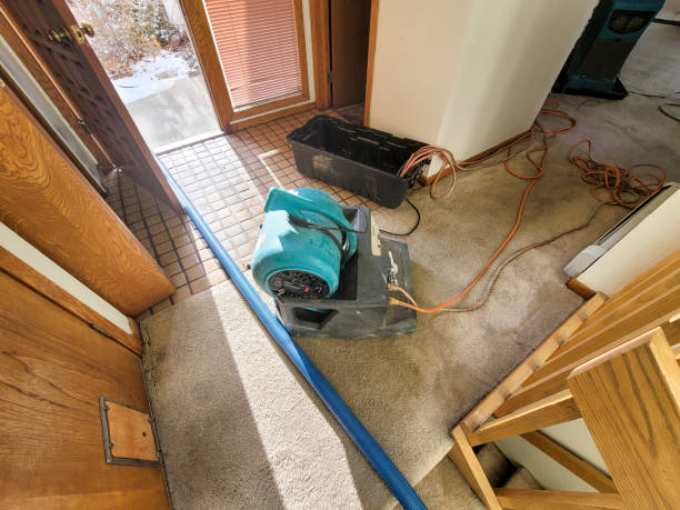 Best Local water damage restoration  in Wyldwood, TX