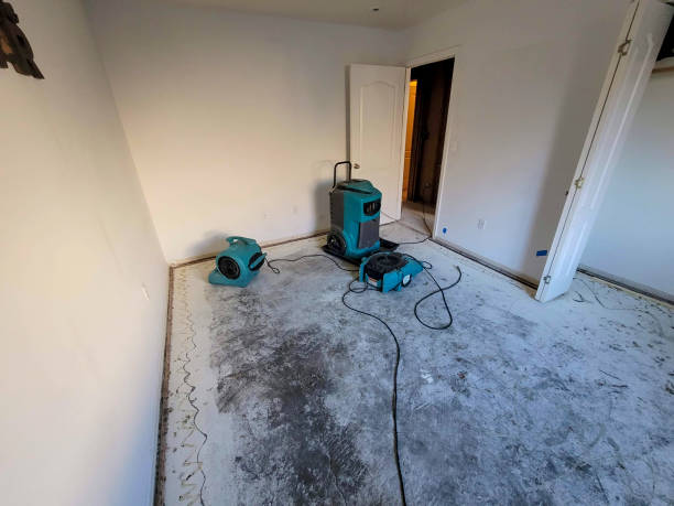 Best Water damage restoration near me  in Wyldwood, TX