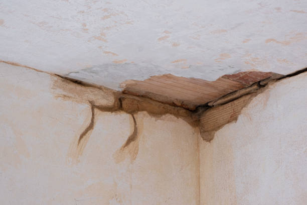 Best Flood damage cleanup  in Wyldwood, TX
