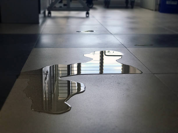Best Commercial water damage restoration  in Wyldwood, TX