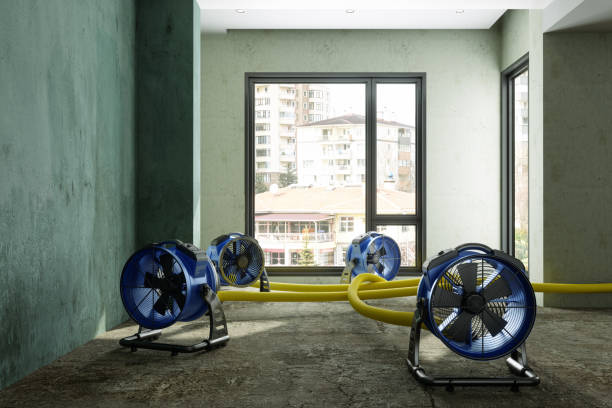 Best Basement water damage restoration  in Wyldwood, TX
