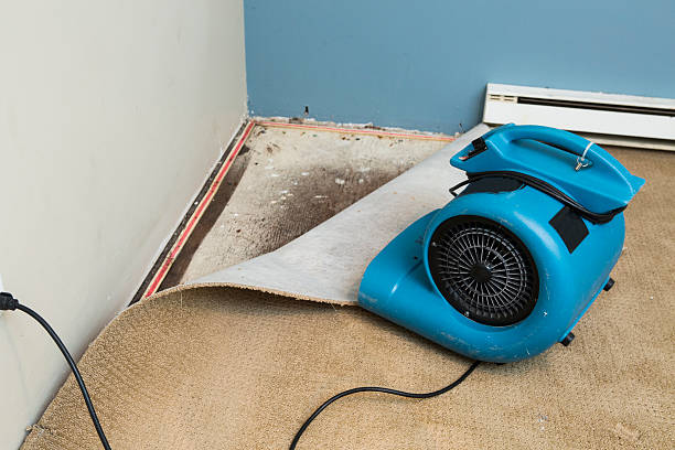 Best Local water damage restoration  in Wyldwood, TX
